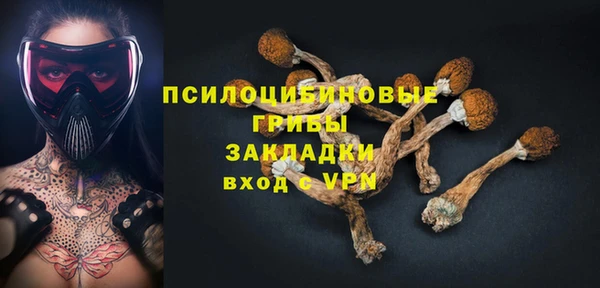 бошки Волосово