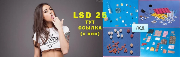 ПСИЛОЦИБИНОВЫЕ ГРИБЫ Вязники
