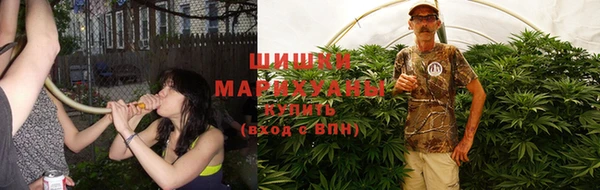 ПСИЛОЦИБИНОВЫЕ ГРИБЫ Вязники