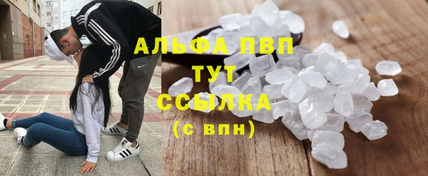 ПСИЛОЦИБИНОВЫЕ ГРИБЫ Вязники